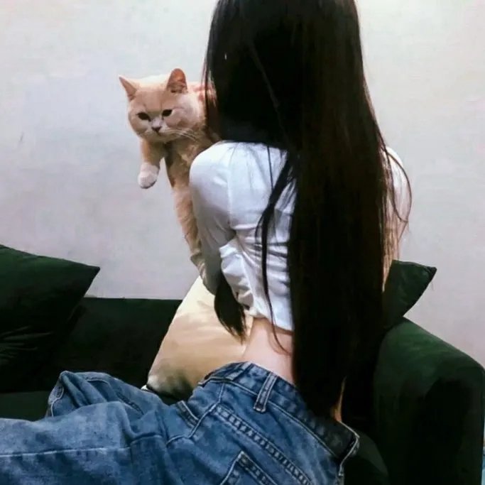 惹不起的宫主大人