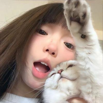 网美嬉游记
