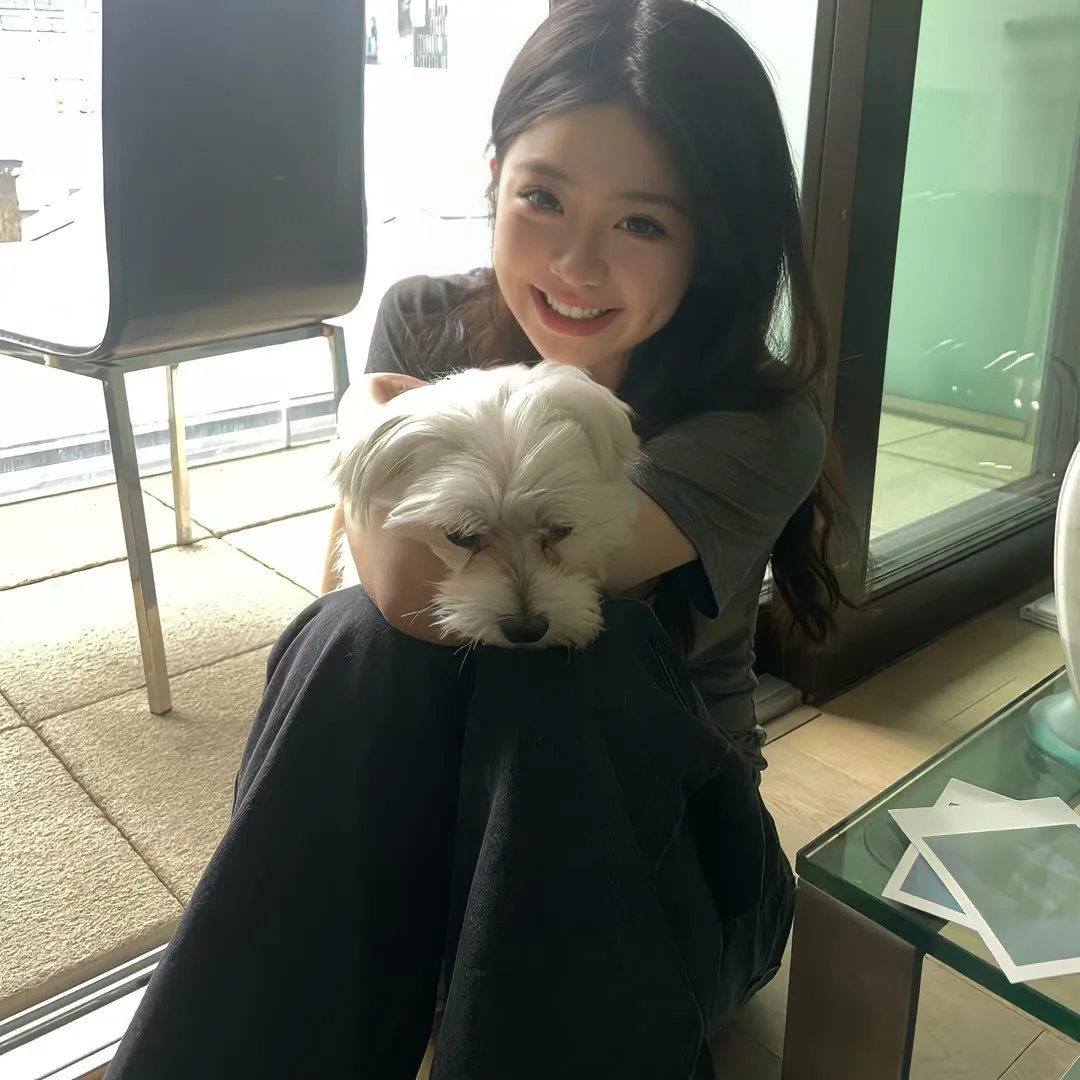 我的特务女友
