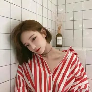 混沌的秩序